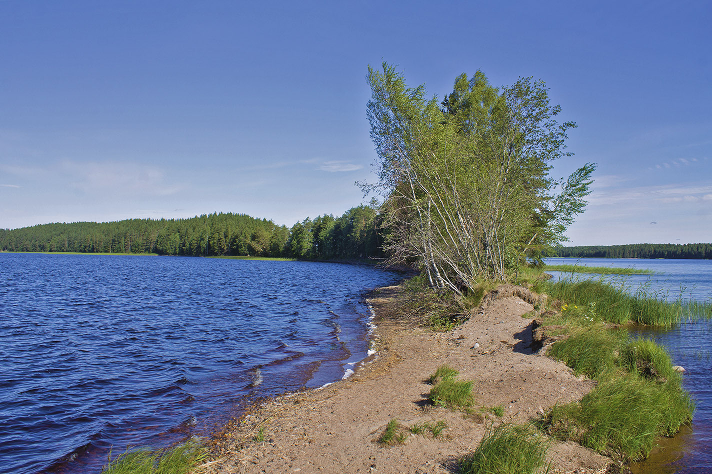 HAIKANKÄRKI - Saarijärvi - Visit Saarijärvi